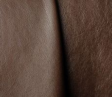 11. Pearl Kalfs kleur 4/14 (OOS-434414001)