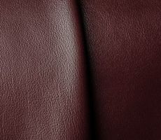 8. Pearl Kalfs kleur 4/21 (OOS-434421001)