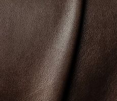9. Pearl Kalfs kleur 4/36 (OOS-434436001)