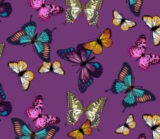 Butterflies (Ottobock)
