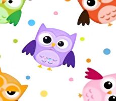 Owls
