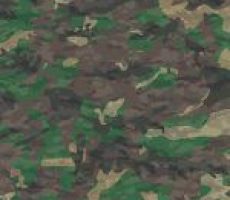 Camouflage US (Ortho Europe)