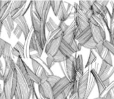 Muscles White Black (Ottobock)