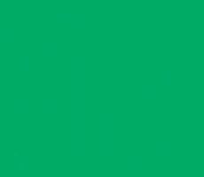 Neon groen (Ottobock)